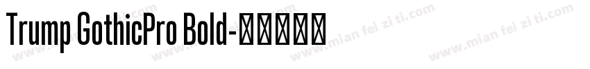 Trump GothicPro Bold字体转换